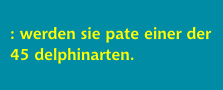 : werden sie pate einer delphinart