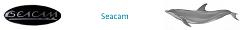 Seacam Unterwassergehuse