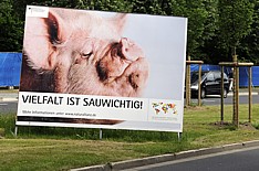 vielfalt ist sauwichtig